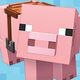 User Avatar Image