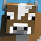 User Avatar Image